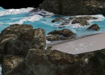 Beach WIP video