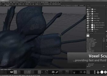 3D-Coat 4 released