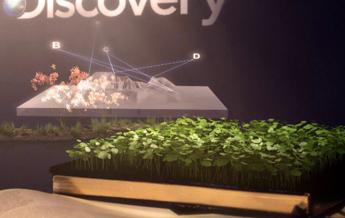 SIGGRAPH 2013 photos