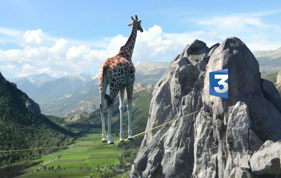 France 3 channel IDs