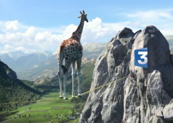 France 3 channel IDs