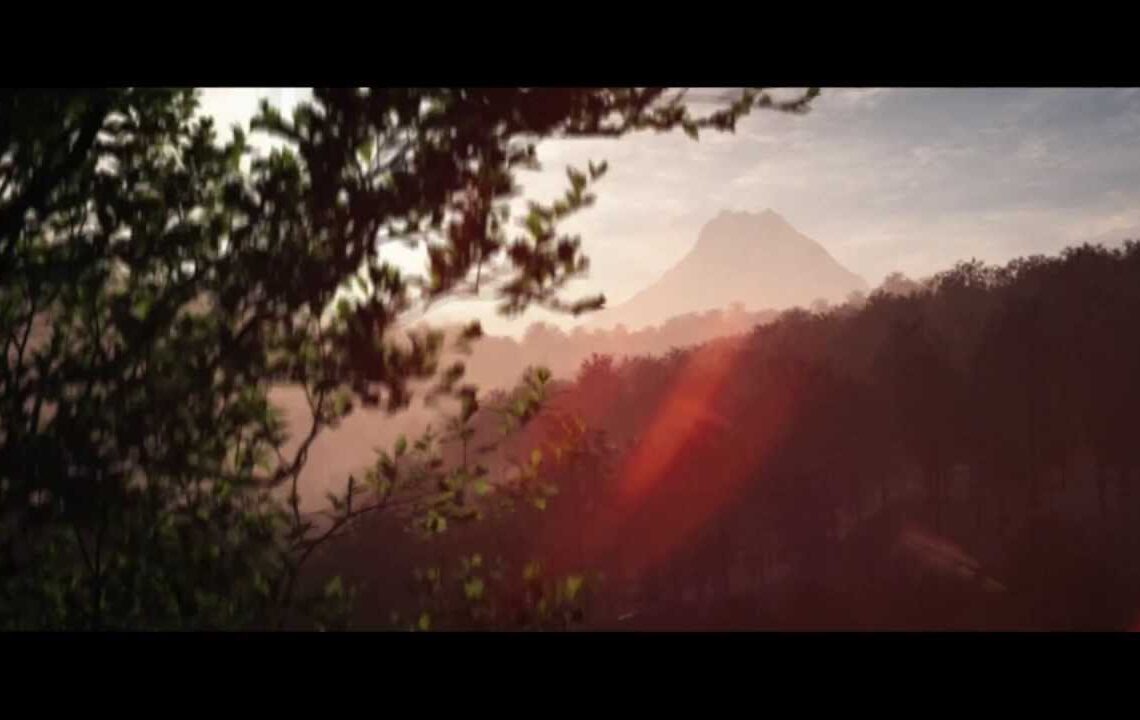 The Plant Factory released