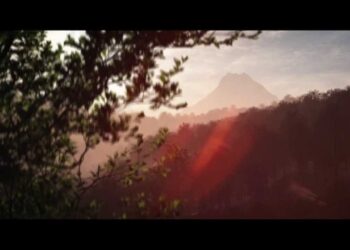 The Plant Factory released