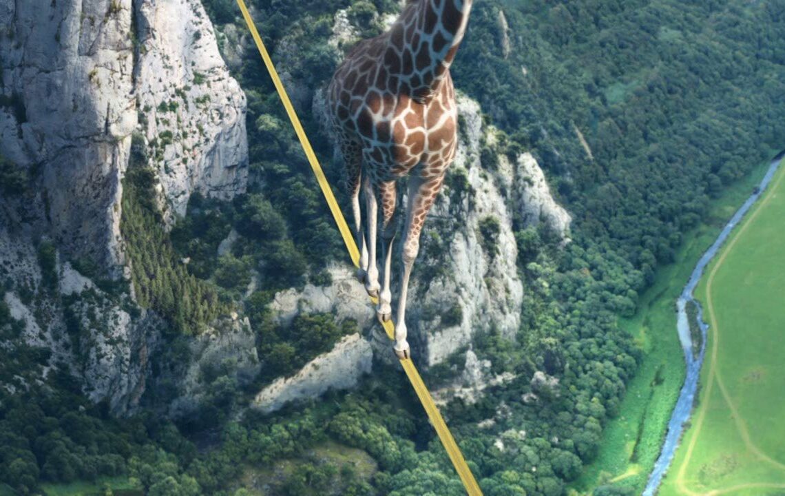 Cube Creative's showreel