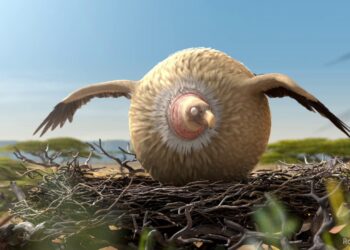 Rollin' Safari – Vulture
