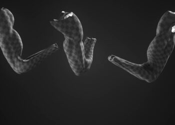 Muscles and skin sliding research