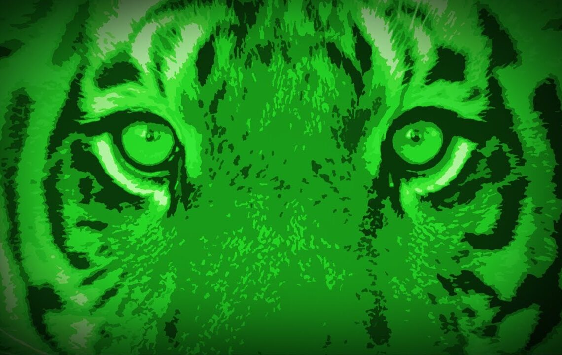 Life After Pi documentary