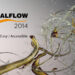 RealFlow 2014 is released