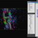 Thinking Particles for 3DS Max 2015