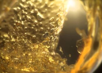 Beer simulations