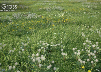 Real Grass