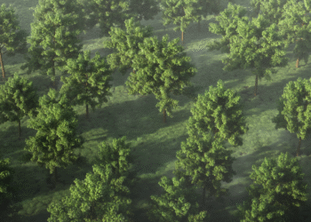 10 free generic tree models