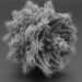 Solid Angle releases Arnold for Houdini
