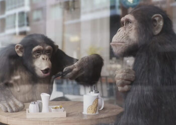 Winamax “Monkeys” making of