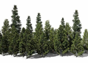 Simulating plant dynamics