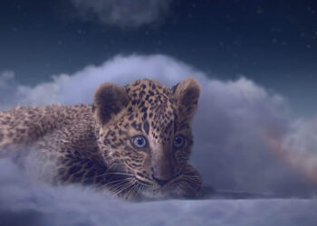 Cartier – Winter Tale 2014