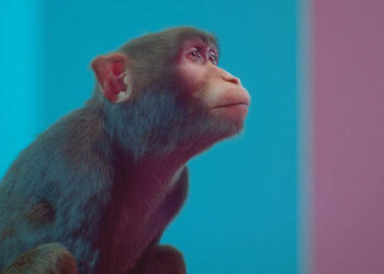 Light Motif short film