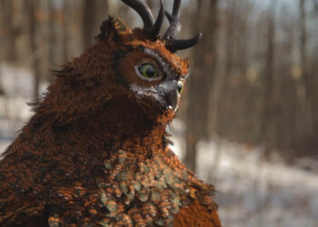 Owly feather system