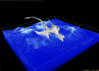 RealFlow 2015 sneak peek videos