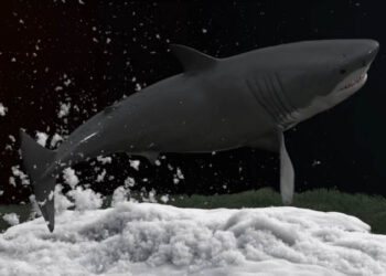 Playing with PBD – shark sand and snow