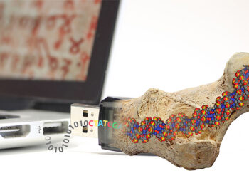 High density storage that lasts thousands of years