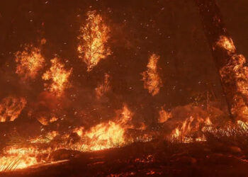 Unreal 4 Lighting and FX Study: Forest Fire