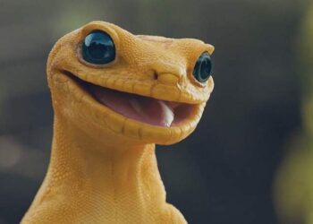 Fido showreel 2015