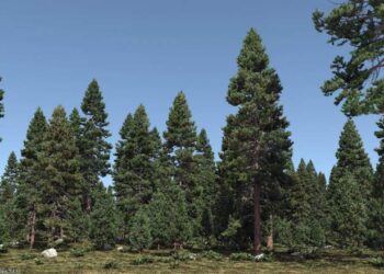 PlantFactory 2015 released