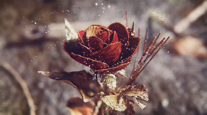 Amorteamo TV show opening