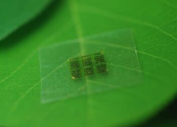 Wood-based chip could lead to biodegradable electronics