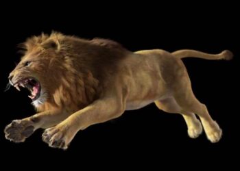 Lion turntable