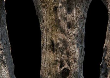 PhotoScan review
