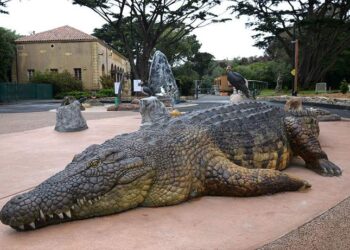 San Francisco Zoo’s Animal Learning Plaza project