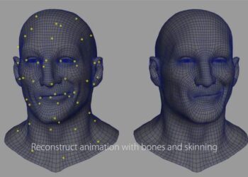 Deformation Learning Solver plugin
