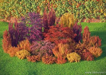 HDTrees 7 and 8 released