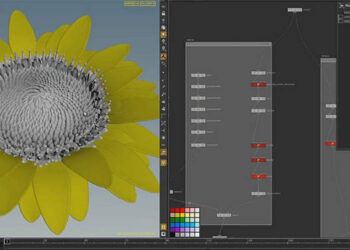 Houdini Sunflower