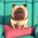 The Secret Life of Pets trailer