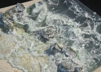 Phoenix FLIP Fluids WIP