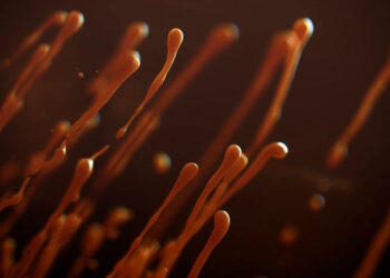 RealFlow tendrils R&D