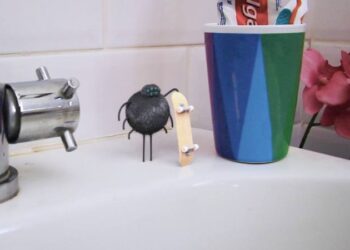 Bathroom Boarder video