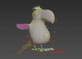 Bird rig video
