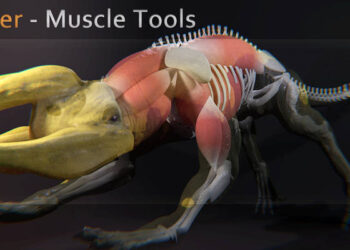 Blender Muscle Tools 1.4 released