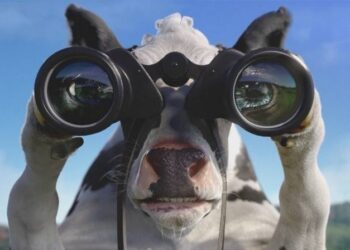 Mighty Nice’s reel 2015