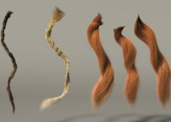 Shape Curves Tool