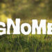 Gnome short film