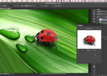 PixelSquid releases Photoshop plugin