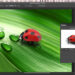 PixelSquid releases Photoshop plugin