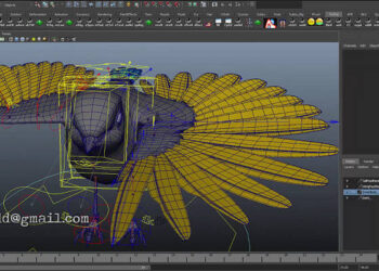 AS_HyperPoint – auto joints placement for birds