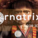 Ornatrix 4 for 3DS Max is out