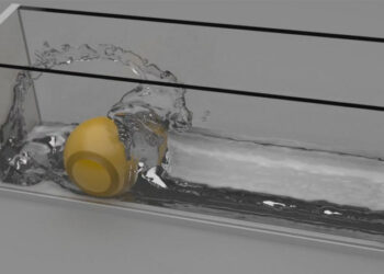 Physics Forests real-time fluids solver